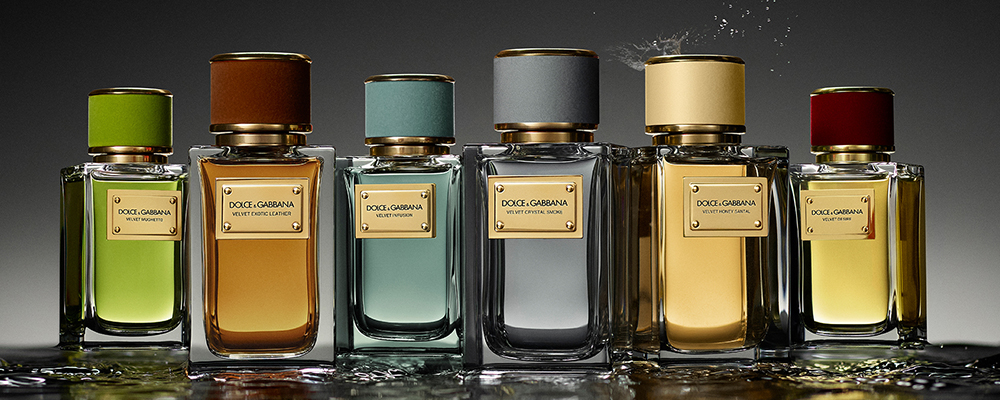 دولتشي أند غابانا perfumes